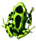 green frog - nemokama png animuotas GIF