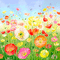 Y.A.M._Summer background flowers - GIF animé gratuit GIF animé