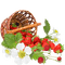 fraises - PNG gratuit GIF animé