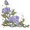 Flower - Darmowy animowany GIF animowany gif