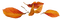 herbst blatt - Free PNG Animated GIF