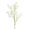 цветы - gratis png geanimeerde GIF