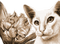 Y.A.M._Art Fantasy cat sepia - бесплатно png анимированный гифка
