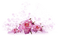soave deco flowers rose bubble spring summer - zdarma png animovaný GIF
