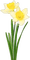 Blumen - PNG gratuit GIF animé