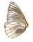 aile papillon - бесплатно png анимированный гифка