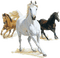 chevaux - zadarmo png animovaný GIF