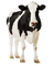 Cow - nemokama png animuotas GIF