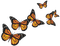 Kaz_Creations Deco Butterflies - Free PNG Animated GIF