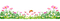 flowers border fleurs - PNG gratuit GIF animé