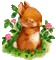 joli lapinot - Bezmaksas animēts GIF animēts GIF