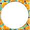 frame summer orange fruit circle - Darmowy animowany GIF animowany gif
