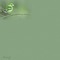 bg-green-bird - Free PNG Animated GIF