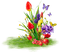 Cluster.Spring.Flowers.Red.Yellow.Purple
