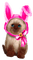 Easter Cat - бесплатно png анимированный гифка