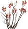 planta de otoño - Free PNG Animated GIF