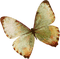 Schmetterling - gratis png geanimeerde GIF