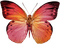 autumn deco kikkapink png pink butterfly - PNG gratuit GIF animé