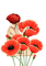 poppy flowers bp - png gratuito GIF animata