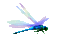 Dragon-Fly - Bezmaksas animēts GIF animēts GIF