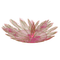 kathy - Free PNG Animated GIF