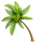 Palmtree - zadarmo png animovaný GIF