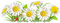 soave deco flowers border floor daisy white yellow - Free PNG Animated GIF
