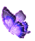 Y.A.M._Fantasy butterfly purple - GIF animate gratis GIF animata