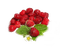 Kaz_Creations Deco Fruit Strawberries