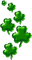 Clovers.Green - PNG gratuit GIF animé