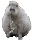 gourmet capybara - Ingyenes animált GIF animált GIF