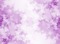 minou-purple-background-bg - zadarmo png animovaný GIF