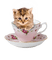 dolceluna spring cat vintage deco pink pastel - png gratuito GIF animata