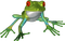 Kaz_Creations Frogs Frog - безплатен png анимиран GIF