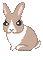 rabbit stomp - Gratis animeret GIF