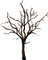 tree - ingyenes png animált GIF