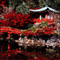 Red Japanese Background - Free animated GIF Animated GIF