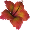 Fleur! - png gratis GIF animasi