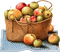 apple basket Bb2 - zdarma png animovaný GIF