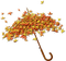 Herbst, Schirm, Blätter - png gratis GIF animado