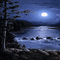 ocean night moon bg gif fond mer - Free animated GIF Animated GIF