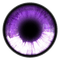 Kaz_Creations Eyes Eye Colours