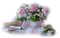 Still Life Flowers - gratis png geanimeerde GIF