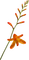 fleurs - kostenlos png Animiertes GIF