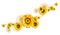 sunflowers deco  tournesol