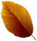 Kaz_Creations Autumn Fall Leaves Leafs - zadarmo png animovaný GIF