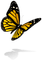 dolceluna butterfly deco summer spring - png gratuito GIF animata