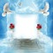 Fond bleu nuage ciel oiseau blanc roses rouges escaliers debutante blue sky bg cloud bg white bird red flower stairs
