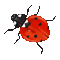 Ladybug Heart Kiss Gif - Bogusia - GIF animé gratuit GIF animé