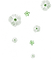 soave deco flowers scrap white green - Free PNG Animated GIF
